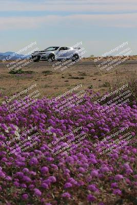 media/Jan-08-2023-SCCA SD (Sun) [[8f6a5b9391]]/Advanced Group/Session 2 (Short Straight)/